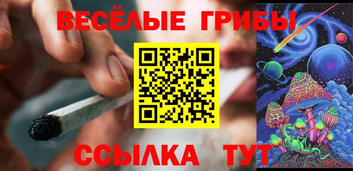 Красногорск  Галлюциногенные грибы Psilocybe  Вход с VPN  Галлюциногенные грибы MAGIC MUSHROOMS 